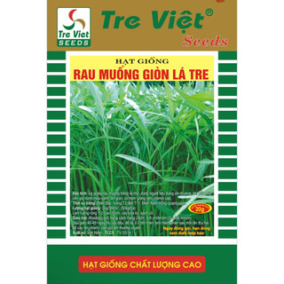 Hạt giống rau muống giòn lá tre được người dùng ưa chuộng hàm lượng vitamin cao