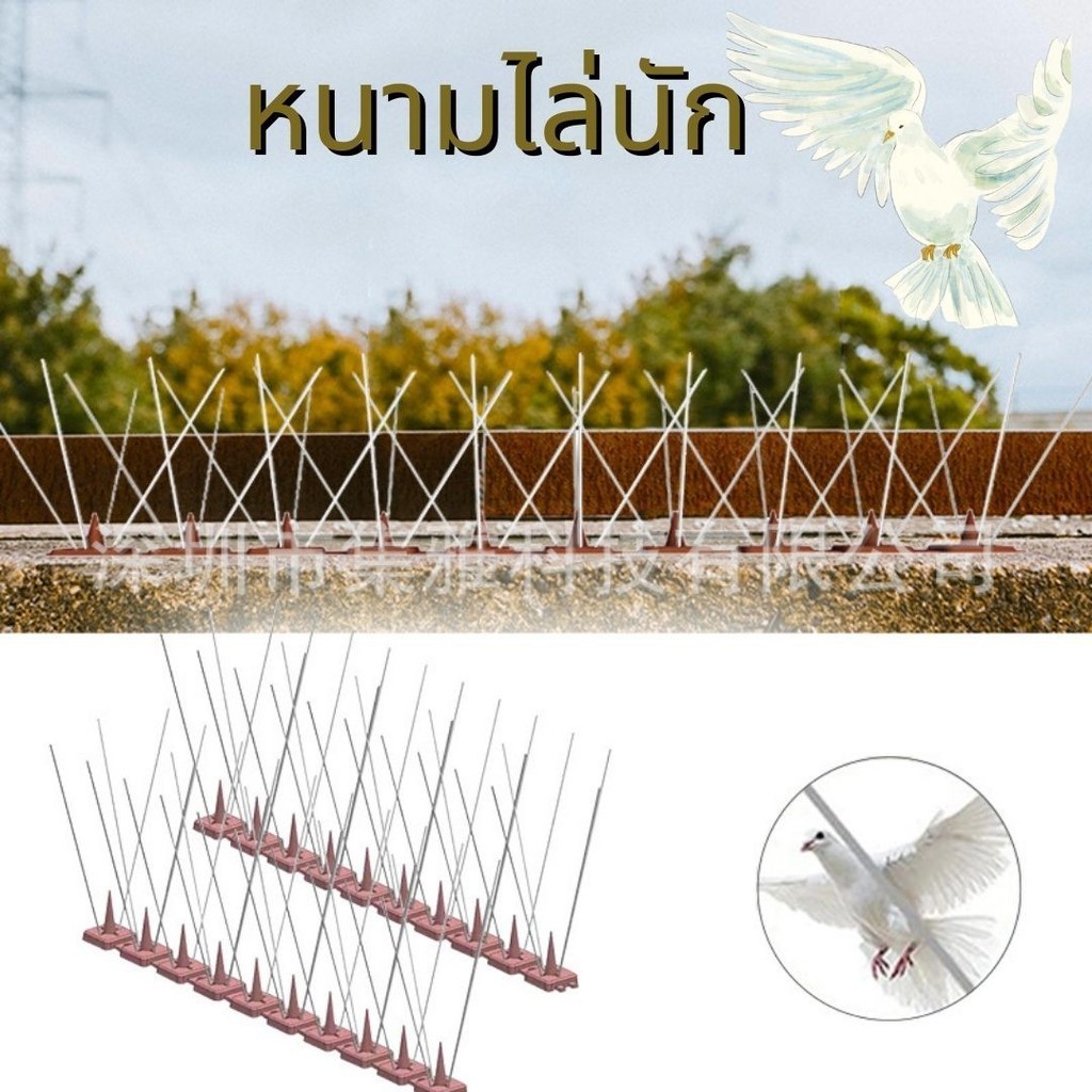 หนามไล่นกสแตนเลส ขนาด 25cm. และ 50cm.