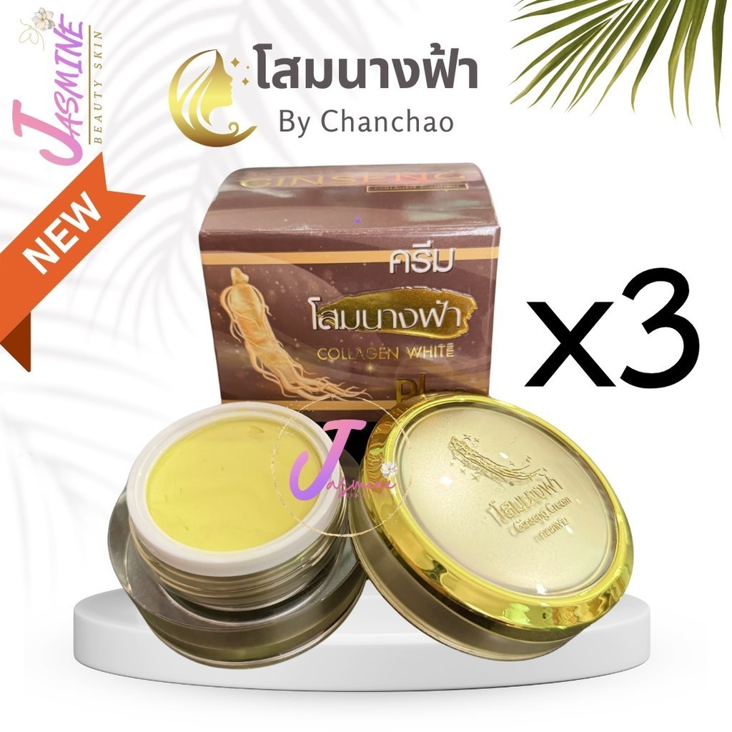ครีมโสมนางฟ้า by จันทร์เจ้า ไนท์ครีม (เซต 3 กล่อง) Chanchao Collagen Ginseng ครีมกลางคืน 20 g.
