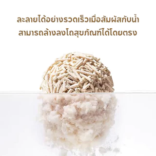 【AimayaPet】🐱ทรายเต้าหู้ Cat Litter 6/12 ลิตร ออร์แกนิค100% มี4กลิ่นให้เลือก เก็บกลิ่น จับตัวเป็นก้อนไว ทิ้งชักโครกได้