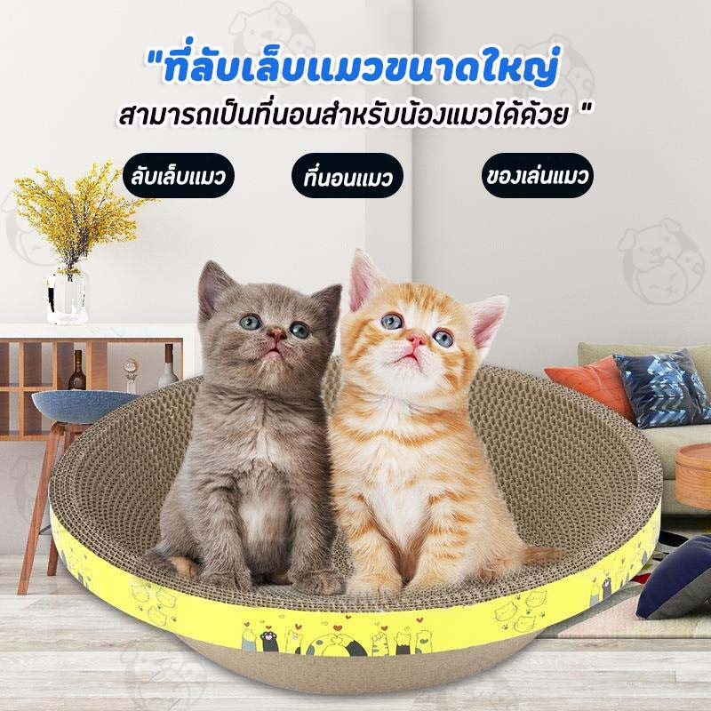 รูปภาพ 6