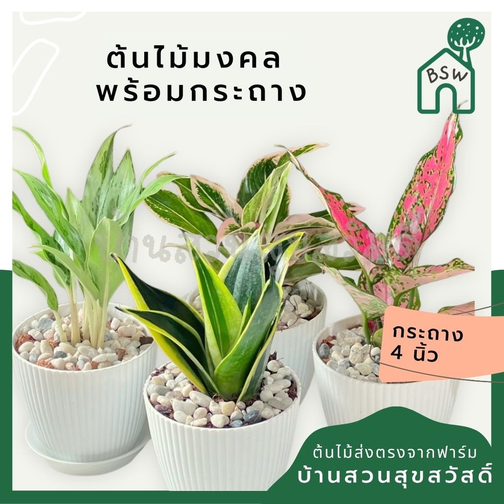 มุมมอง 2