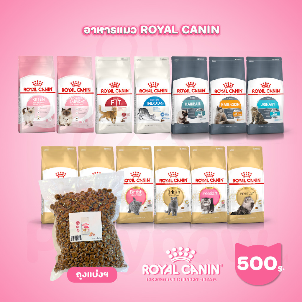 [ถุงแบ่ง 500ก.] ROYAL CANIN อาหารแมว รอยัลคานิน อาหารเม็ดแมว ขนาด 500ก. (Dry Cat Food, โรยัล คานิน,ถุงแบ่ง)