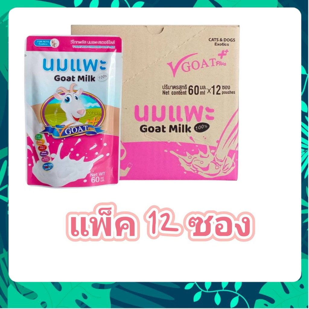 V Goat Plus นมแพะสด พร้อมส่ง 12 ซอง 60mL สำหรับสัตว์เลี้ยงตัวน้อย