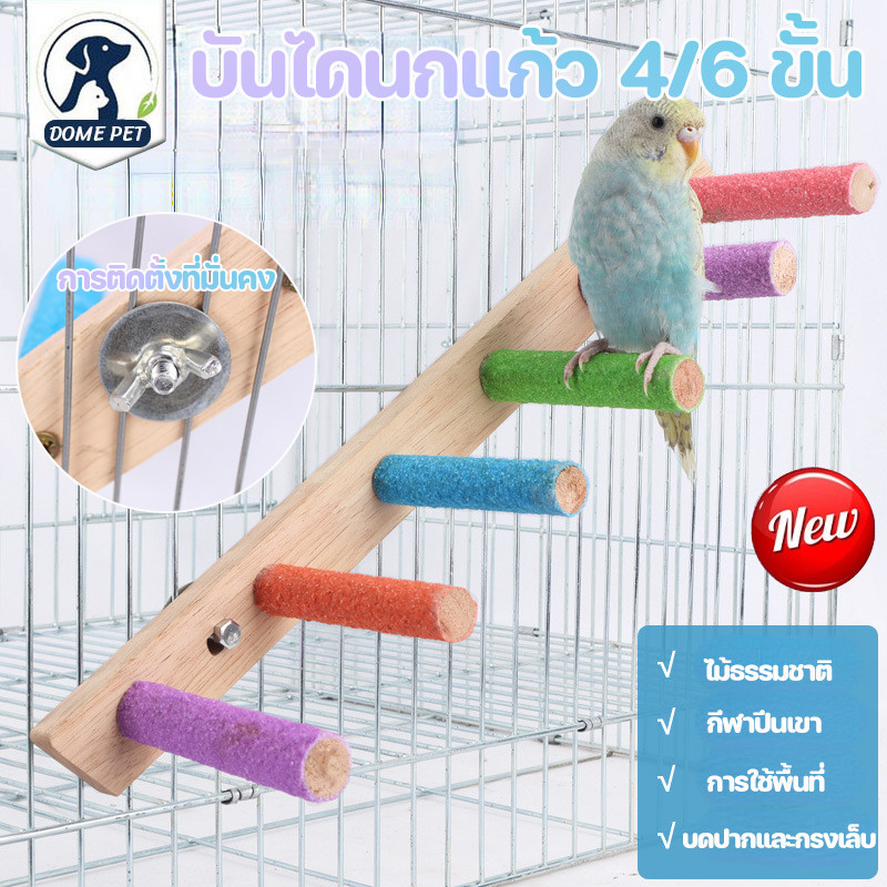 COD บันไดนกแก้ว 4/6/8 ขั้น บันไดนก สะพานนก บันไดติดข้างกรงสัตว์เลี้ยง คอนลับเล็บ ติดตั้งในกรง ของเล่นบันไดกรงนก