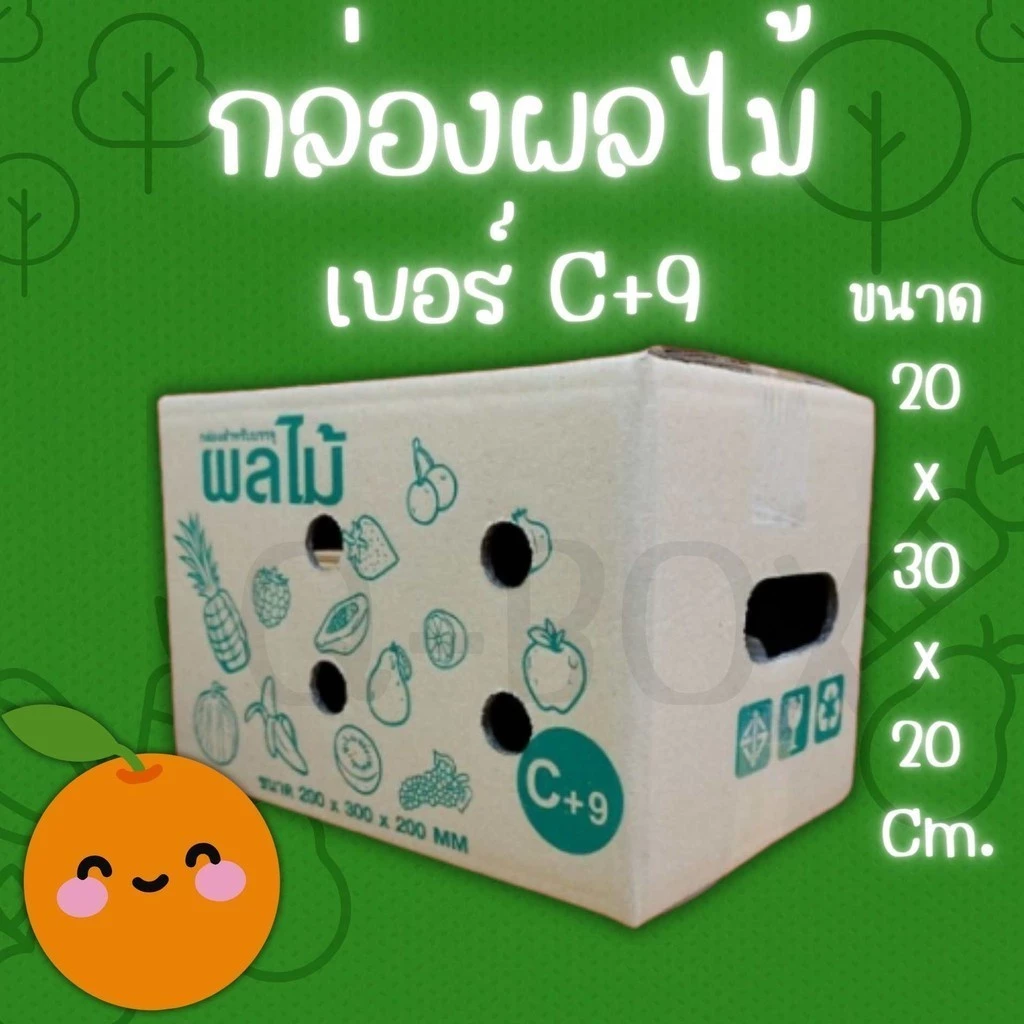 กล่องผลไม้ เบอร์ C+9 กล่องพัสดุฝาชน แพ็ค 10 ใบ หนา 3 ชั้น ราคาส่ง พร้อมส่ง FastBox