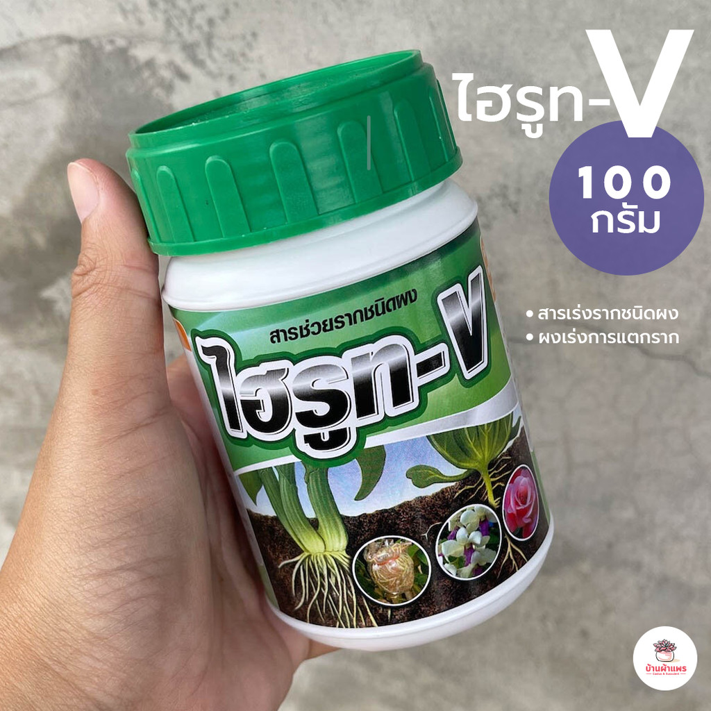 ไฮรูท-V 100 กรัม สารเร่งรากชนิดผง ผงเร่งการแตกราก