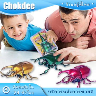 ร้านคนไทย! ของเล่น โมเดลแมลงด้วง ขยับได้ มีลาน ของเล่นสําหรั…