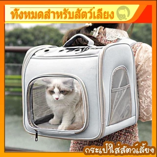 กระเป๋าสัตว์เลี้ยง เป้แมว พับเก็บได้ สะพายสุนัข กระเป๋าแมว 10KG ใบใหญ่มาก กระเป๋าสะพายแมว พับเก็บได้ ระบายอากาศได้