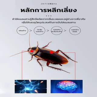 👍ไม่มีแมลงสาบ 10ปี 👍XHS กําจัดแมลงสาบ ยากําจัดแมลงสาบ ไล่แมลงสาบ 120g*3 สารสกัดจากพืช เจลหอมกำจัดแมลงสาป
