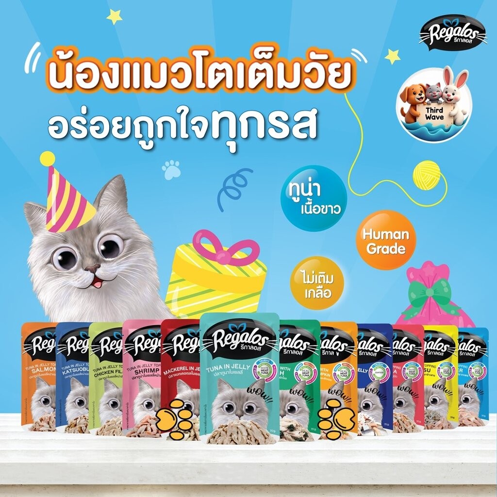 Regalos เพ้าซ์ อาหารเปียกสำหรับแมว มาในรูปแบบอาหารเปียกในเยลลี่ แบบซอง ขนาด 70 กรัม