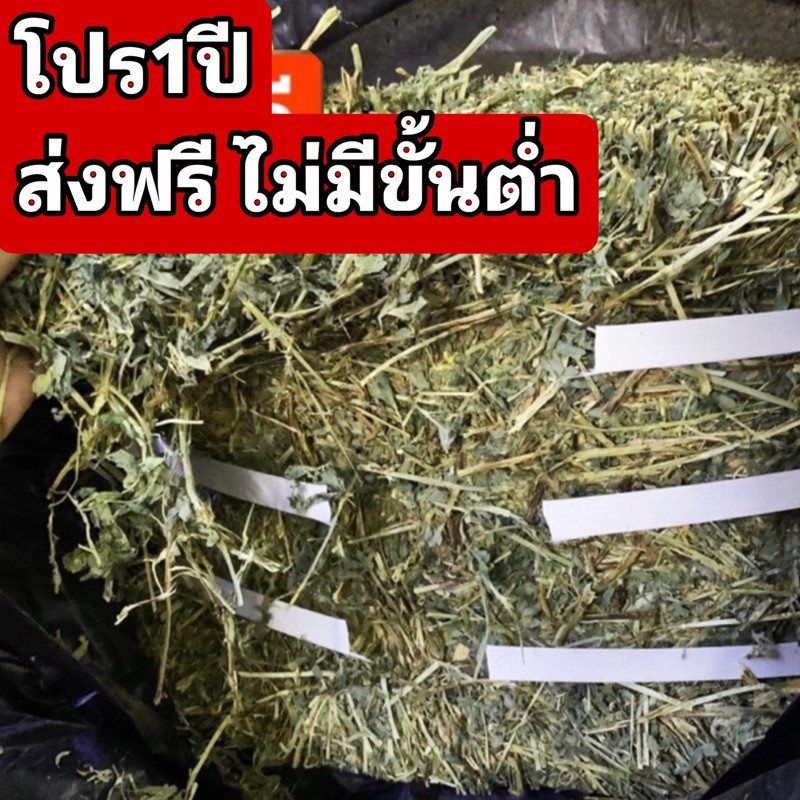ส่งฟรี อัลฟาฟ่าแบบก้านใบ ยกฟ่อน 25กก