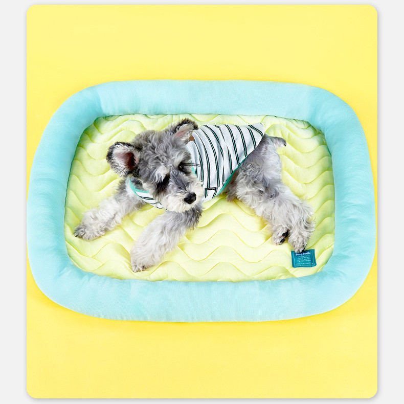 CheesePet เบาะสัตว์เลี้ยงแบบเย็นสบาย เตียงแมว เตียงสุนัขขนาดเล็ก ใช้งานได้ทุกฤดู ราคา ถูกที่สุด ดีลบีเคเค แกลเลอรีภาพที่ 2