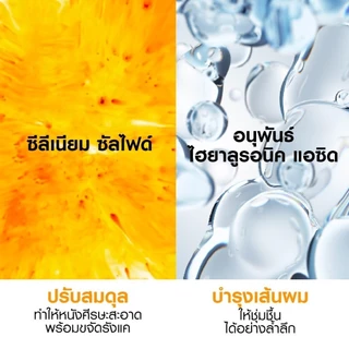 [เซตสุดคุ้ม] วิชี่ VICHY DERCOS ANTI DANDRUFF DS 2 IN 1 CONDITIONING SHAMPOO แชมพูผสมครีมนวดขจัดปัญหารังแค 390ml x2 ชิ้น