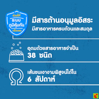 เพดดิกรี อาหารสุนัขชนิดเม็ด รสเนื้อวัวและผัก 3 กก.