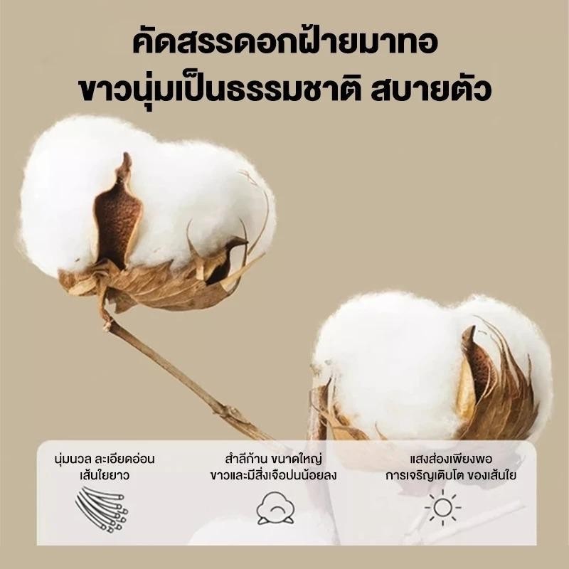 ผ้าปูที่นอน(ปลอกหมอนฟรี*2)ชุดผ้าปูที่นอน มียางรัดมุม 3.5ฟุต 5ฟุต 6ฟุต ลายการ์ตูนน่ารักผ้าปูที่นอนกันไรฝุ่น - รูปที่ 4