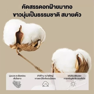 ผ้าปูที่นอน(ปลอกหมอนฟรี*2)ชุดผ้าปูที่นอน มียางรัดมุม 3.5ฟุต 5ฟุต 6ฟุต ลายการ์ตูนน่ารักผ้าปูที่นอนกันไรฝุ่น