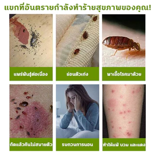 🔥กำจัด เหา ไร เห็บ หมัด ฉีดเดียวก็ตาย สเปรย์กำจัดเห็บหมัด500ml สูตรพืช สัตว์เลี้ยงเลียได้ ยาฆ่าเห็บหมัด ได้ผล1000%