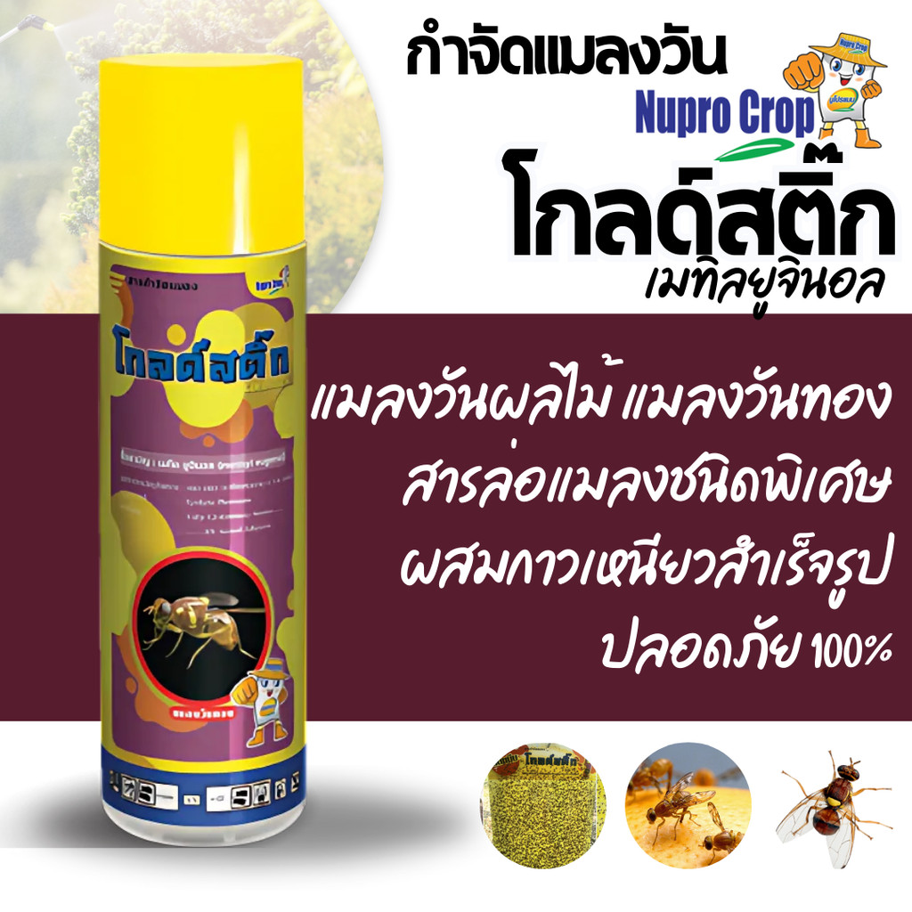 [600cc] เสปรย์ดักแมลงวัน โกลด์ สติ๊ก (เมทิล ยูจินอล 6% Aerosol Adhesives) 600 มิลลิลิตร