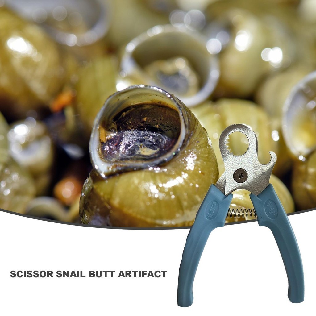 Escargt Tail Remover Escargot Clippers กรรไกรครัว Gadgets สบาย Grip Snail Sheller เครื่องตัดสแตนเลส ingth