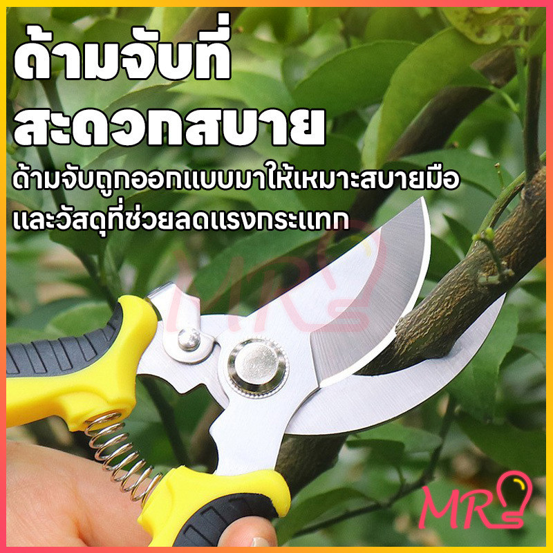กรรไกรตัดกิ่งไม้ กรรไกรแต่งกิ่งปากโค้ง กรรไกรทำสวน มีหลายสีให้เลือก กรรไกรตัดกิ่ง แบบสเตนเลส รูปที่ 2
