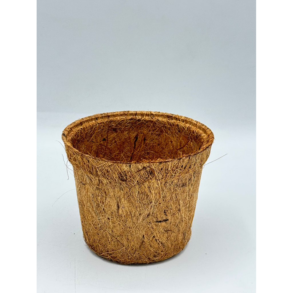 มุมมอง 3