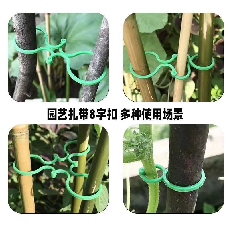 การทําสวน 8-หัวเข็มขัดตัวอักษรหัวเข็มขัดผีเสื้อขนาดใหญ่แปดตัวอักษรพืชรวมกลุ่มพืชคงที่เถาผู้ชายหัวเข็มขัดหลายสนุก
