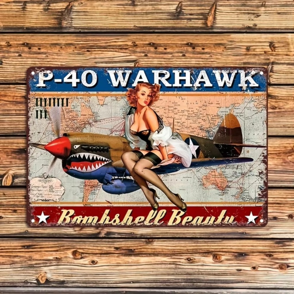 Vintage 2D โลหะ Wall Art P-40 Warhawk เครื่องบินรุ่นสําหรับ Home Room Cafe Bar ร้านอาหารสํานักงาน Re