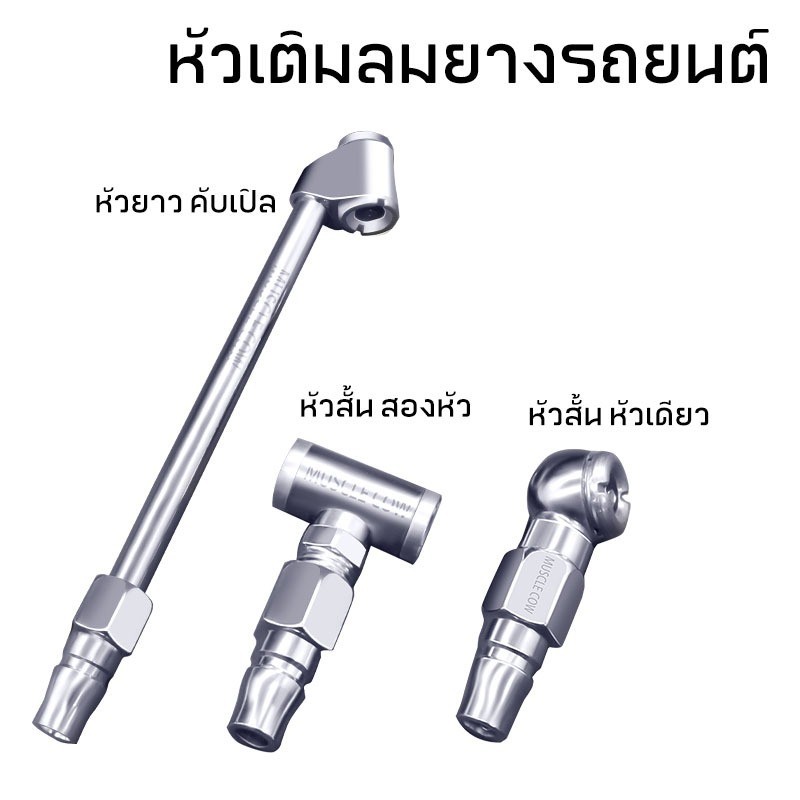 รูปภาพ 3