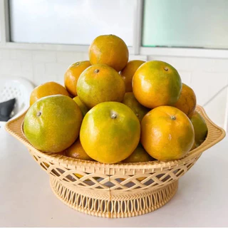 พานหวายกลม สีครีม Bigone No.330 ขนาด 33x10cm ตะกร้าหวาย พานใส่ผลไม้พลาสติก ขันโตกพลาสติก