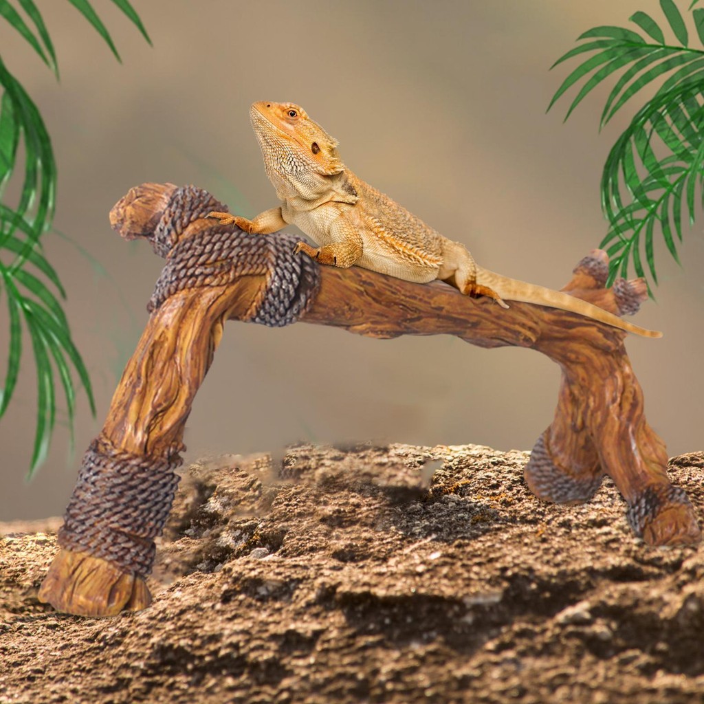 สาขา Terrarium สําหรับสัตว์เลื้อยคลานสัตว์เลื้อยคลาน Habitat ไม้ Climbing สาขา Multi-Functional สัตว