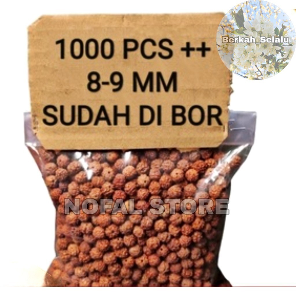 Rudraksha Jenitri 8-9 มม. Variant ชิ้น 200++ & 1000++ พร้อมเจาะรูได้ Black Variations Berkah_Always