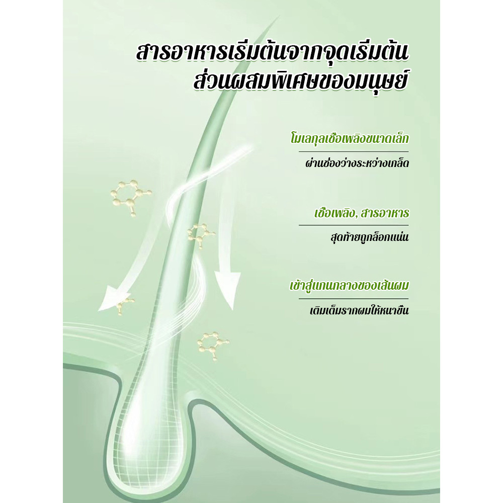 ครีมย้อมผมฟองธรรมชาติสําหรับผู้หญิง คอนซีลเลอร์สีผม แชมพูแบล็ควูล์ฟฟท์ ยาย้อมผมสูตรบริสุทธิ์