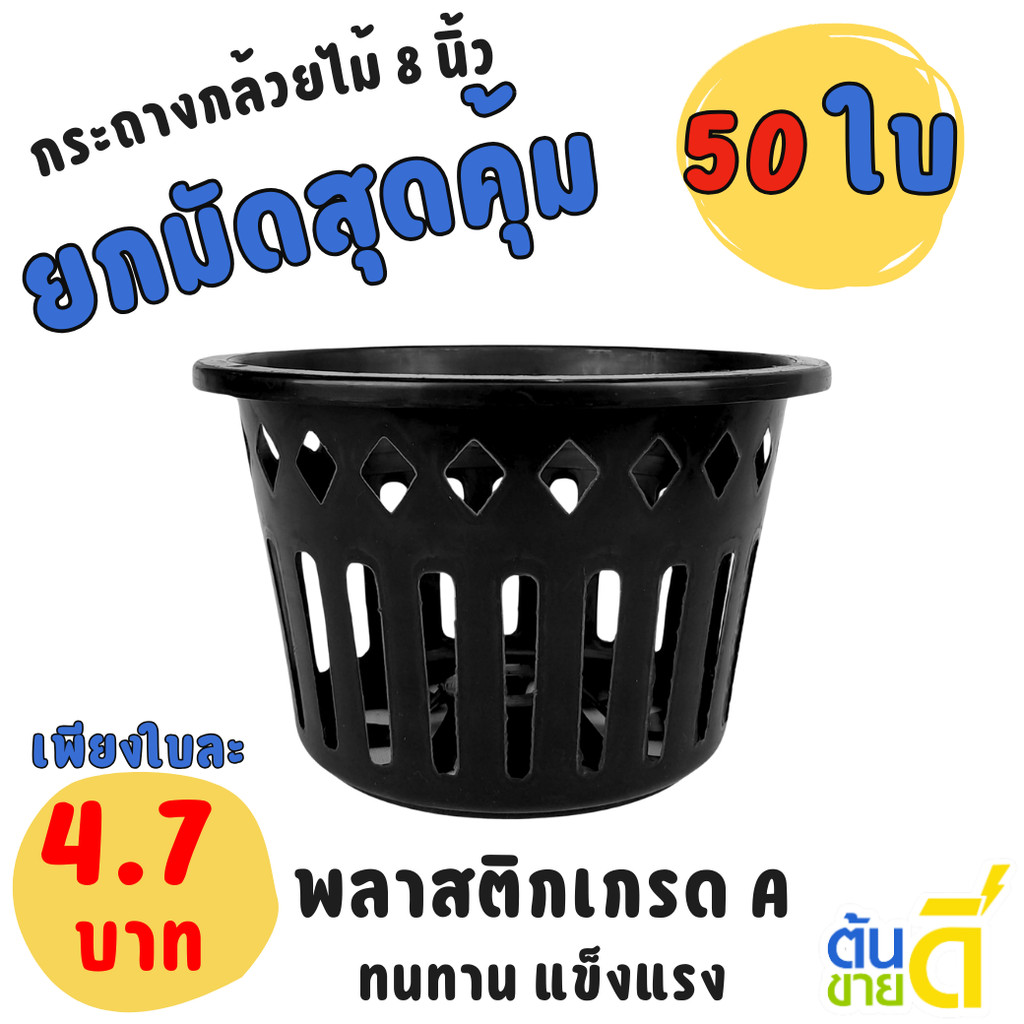 กระถาง กระถางกล้วยไม้ กระถางแขวน กลม 8 นิ้ว Bundle 50 ใบ ชิ้น อัน