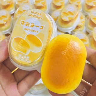 สกุชชี่น้ําตาล เค้กชีสชนิดบรรจุกล่องน้อย สกุชชี่ที่เพิ่มขึ้นช้า