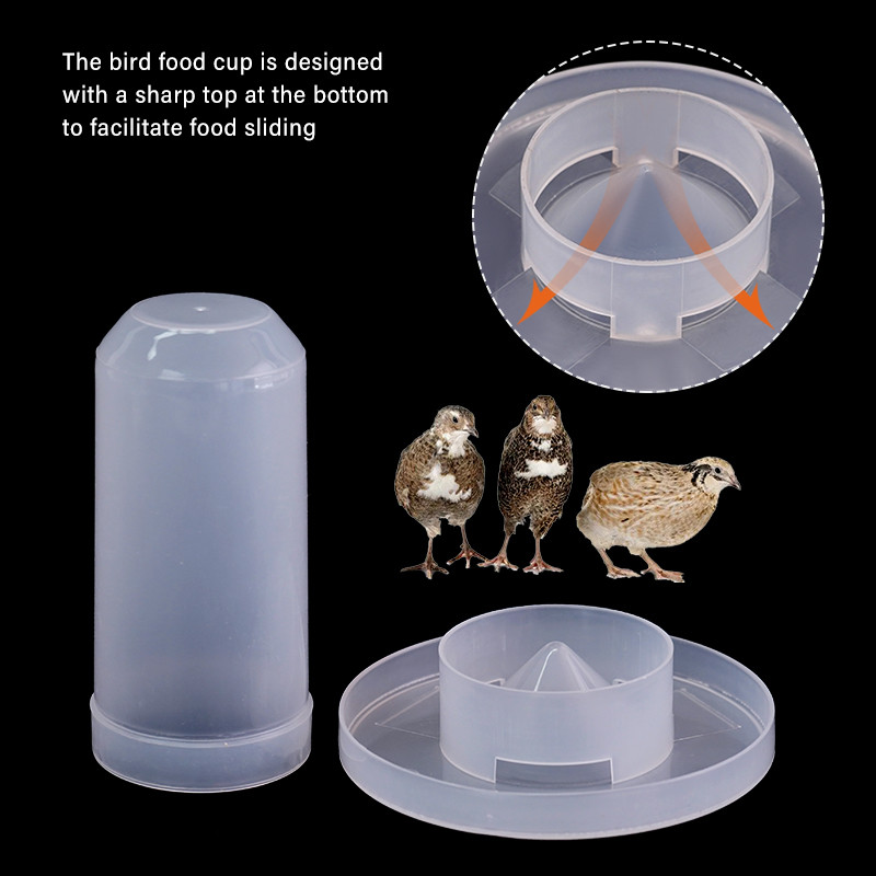 350ml เครื่องดื่มน้ำพลาสติก Parrot นกกระทา ถาดน้ำอัตโนมัติ ถังอาหารนก อุปกรณ์เสริม ราคา ถูกที่สุด ดีลบีเคเค แกลเลอรีภาพที่ 8