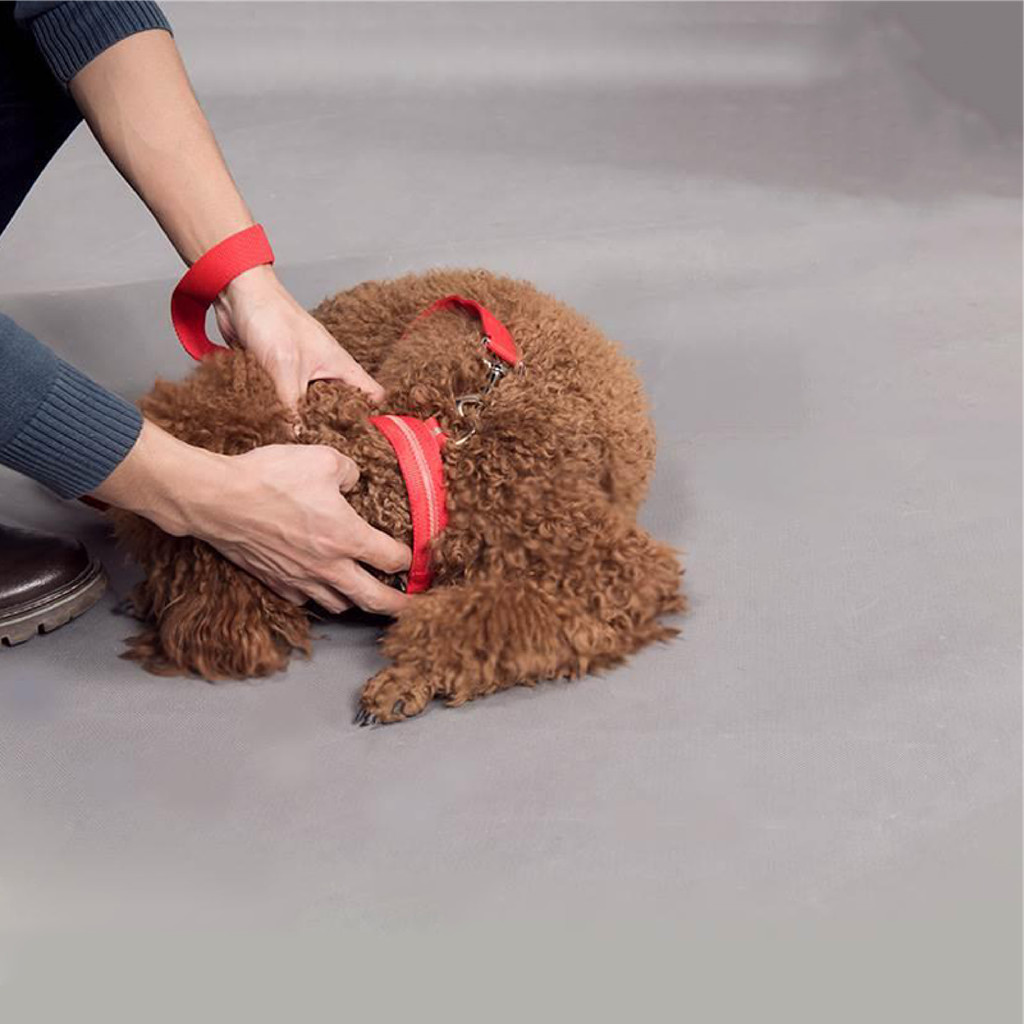 รูปภาพ 6