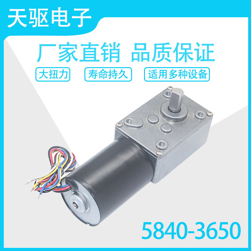 5840-3650 DC Brushless Turbo Snail เกียร์มอเตอร์ 12V24V มอเตอร์ไร้แปรง Self-Locking เบรคมอเตอร์