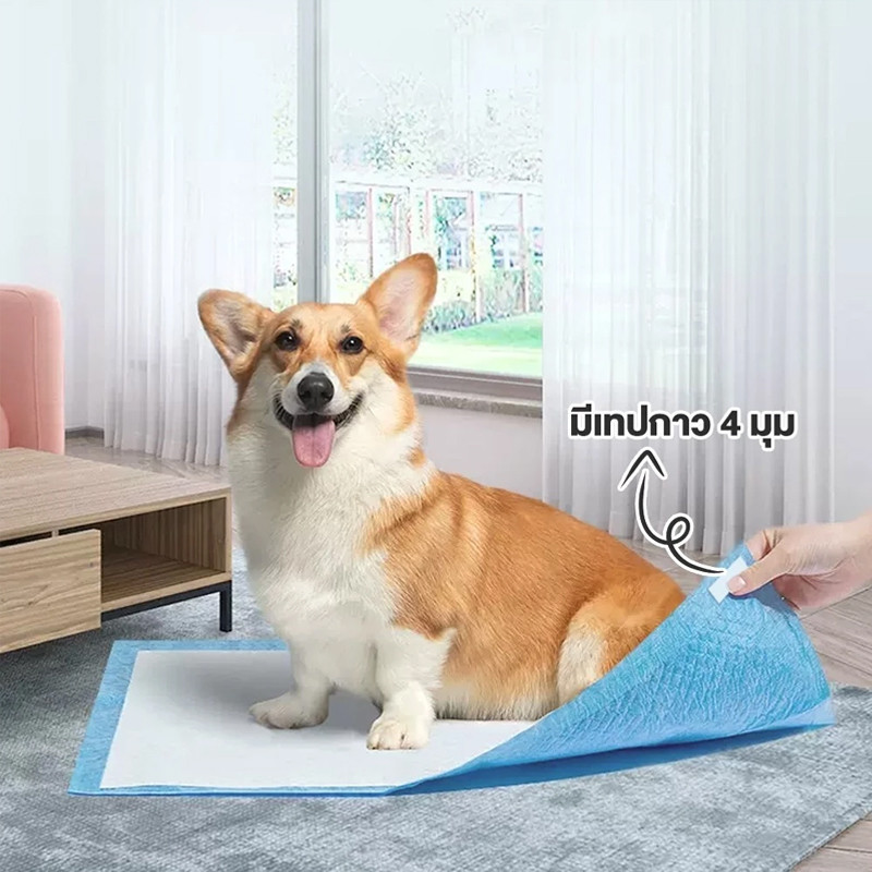 รูปภาพ 2