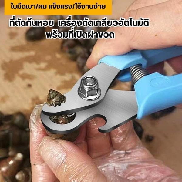 กรรไกรหอย 2 in 1 ที่ตัดก้นหอย เครื่องมือตัดพิเศษสำหรับตัดร่องก้นหอยทากตัดหางสิง ตัวช่วยตัดก้นหอยขมได้อย่างรวดเร็ว