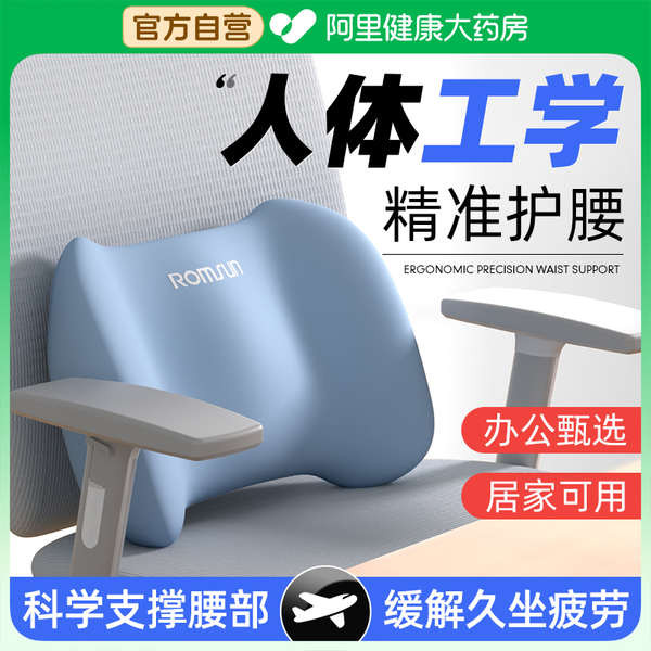 ergolab deep sleep หมอนกอด เบาะรองเอวสำหรับทำงานในสำนักงาน