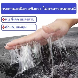 🚚 จัดส่งทันที 🚚 กาวดักหนู กําจัดหนู 10 แผ่น/กล่อง ใช้กาวนำเข้าที่แข็งแกร่ง จับหนูได้ง่าย ไล่หนู