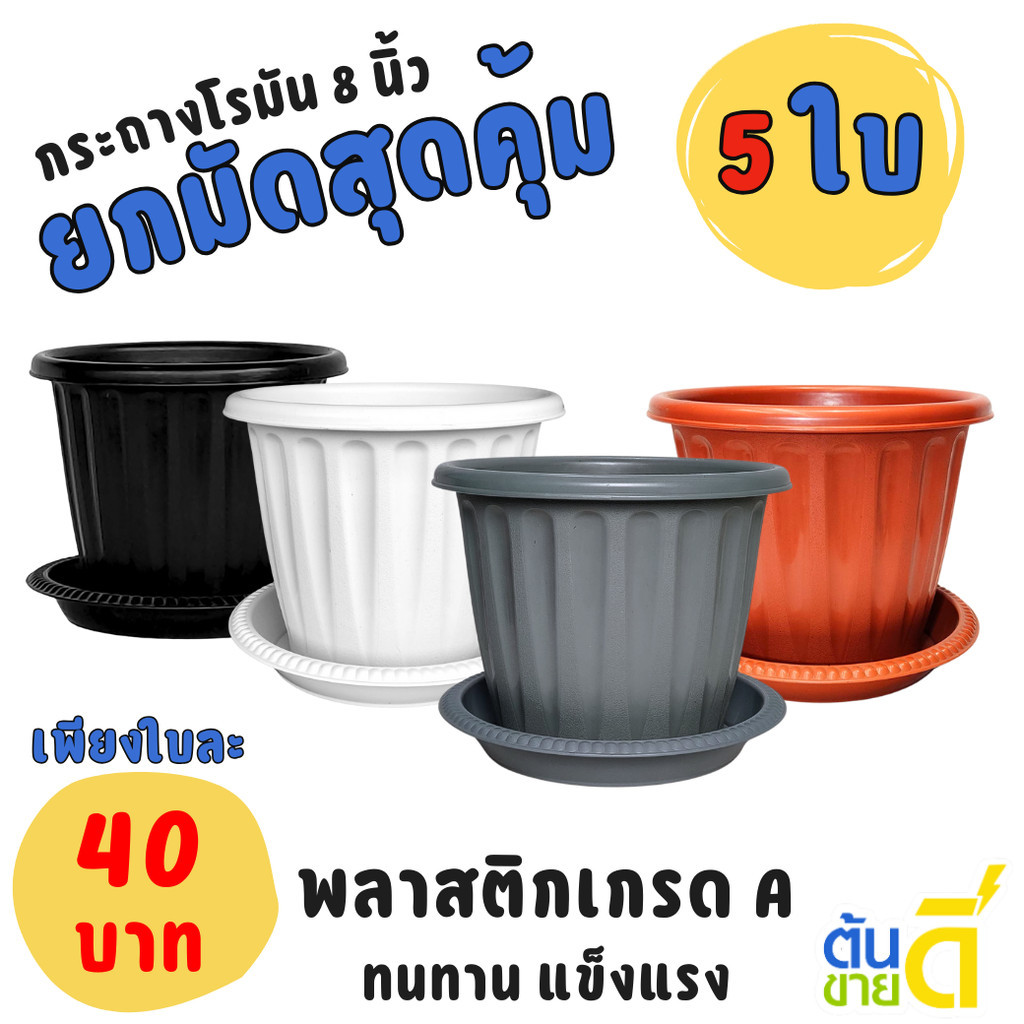 กระถาง กระถางต้นไม้ มินิมอล โรมัน+จาน ขนาด 8 นิ้ว สีดำ สีขาว สีเทา สีอิฐ Bundle 5 ใบ ชิ้น อัน