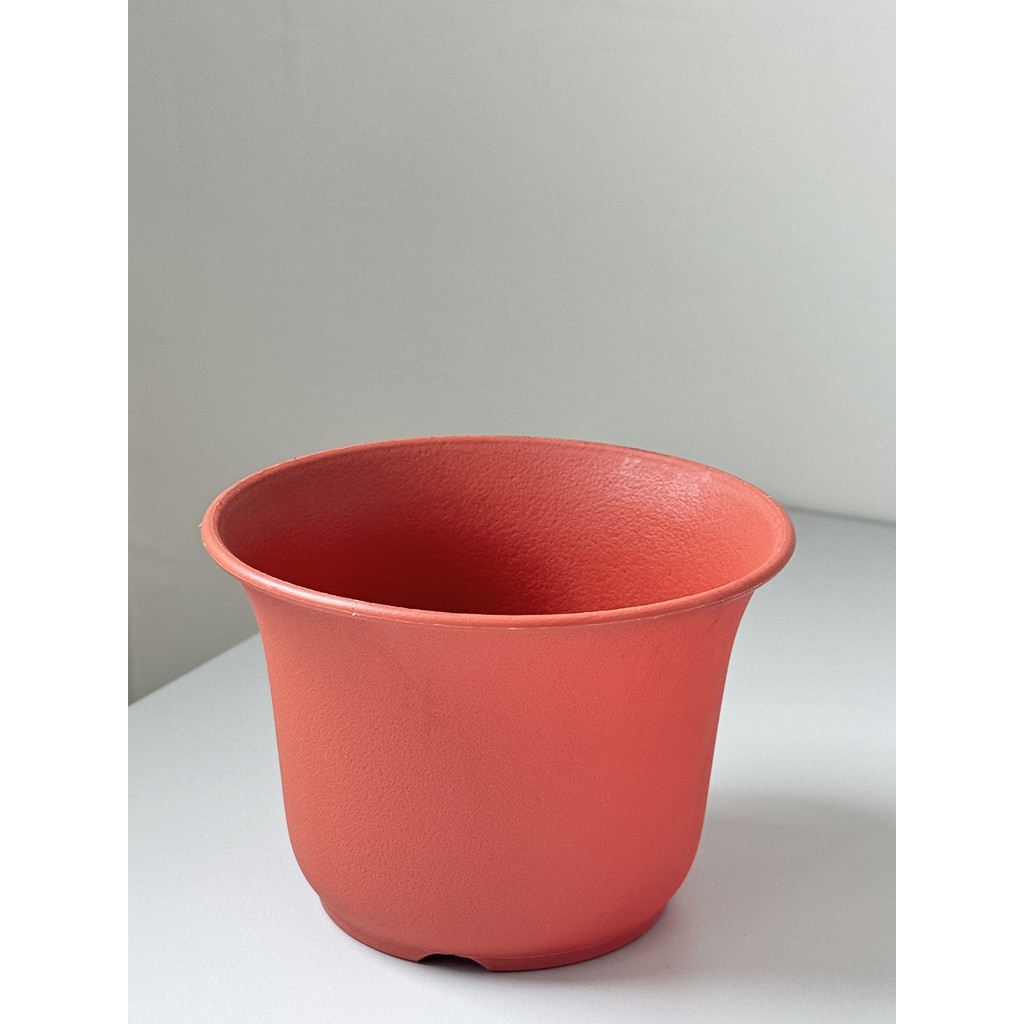 มุมมอง 8