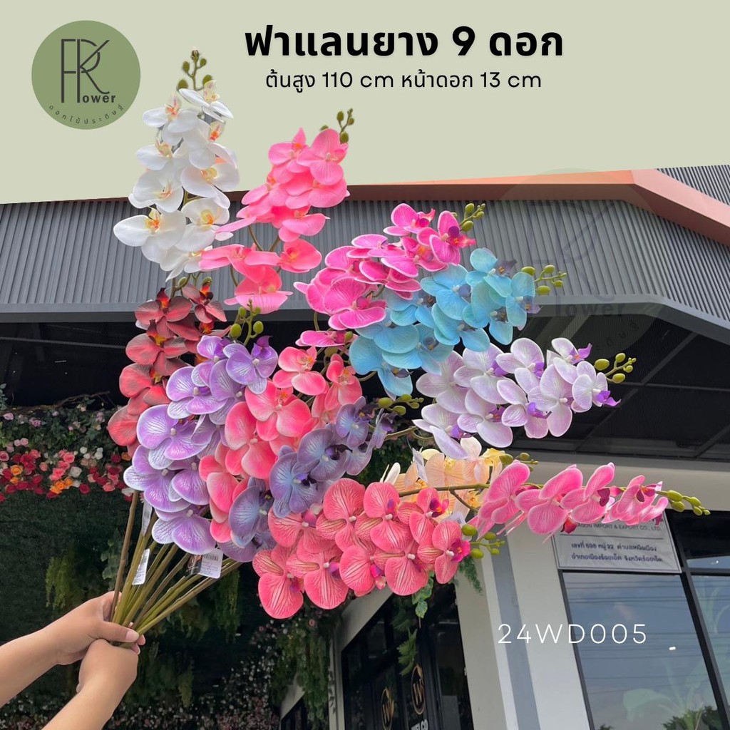 ฟาแลนยาง 9 ดอก ดอกไม้ประดิษฐ์ กล้วยไม้