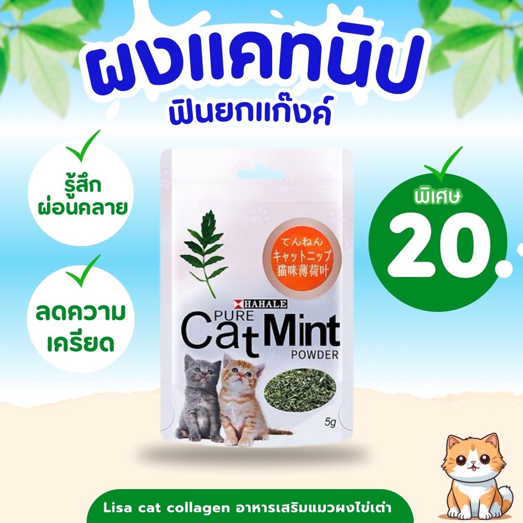 #catnip #คลายเครียดน้องแมว พร้อมส่ง ร้านไทย 🇹🇭 แคทนิป 🍃🍃 #กัญชา แมว ชอบมาก หอมๆฟิน