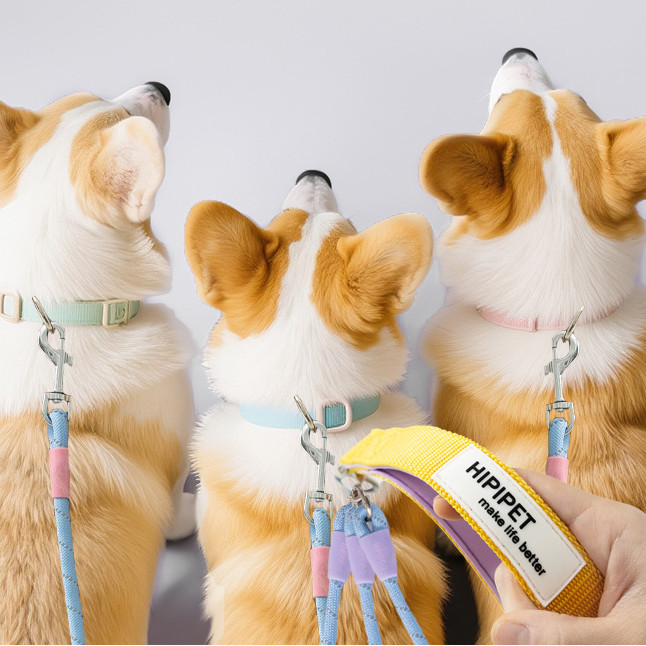 Dog P Rope Fashion Contrast Color One-to-More Traction Rope Outing Dog Explosion-Proof Push Dog Walk