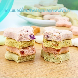 【PET RECORD】🔥บิสกิตสุนัข 100g ขนมขบเคี้ยวสุนัข อร่อย เคี้ยวเพลิน โภชนาการดี เหมาะทุกวัย