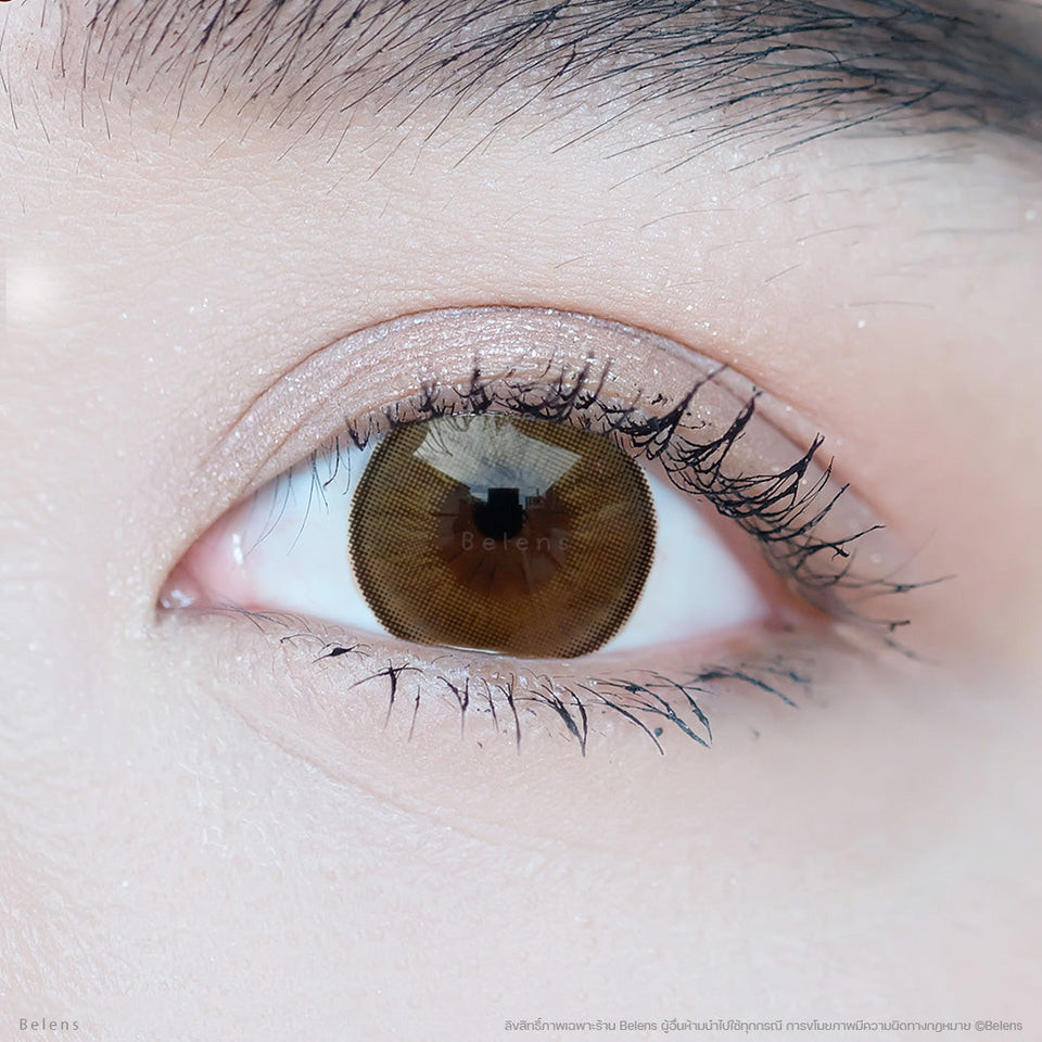💥แถมตลับ food grade - รุ่น Clover (Brown) คอนแทคเลนส์ //มีส่งด่วน🚚