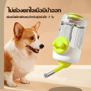 น้ำความจุสูงสัตว์เลี้ยงไม่ง่ายบอลกรงแขวนกาเลี้ยงแขวนกาต้มน้ำ